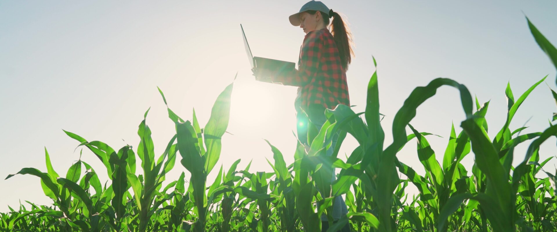 La technologie au service de l’agriculture !