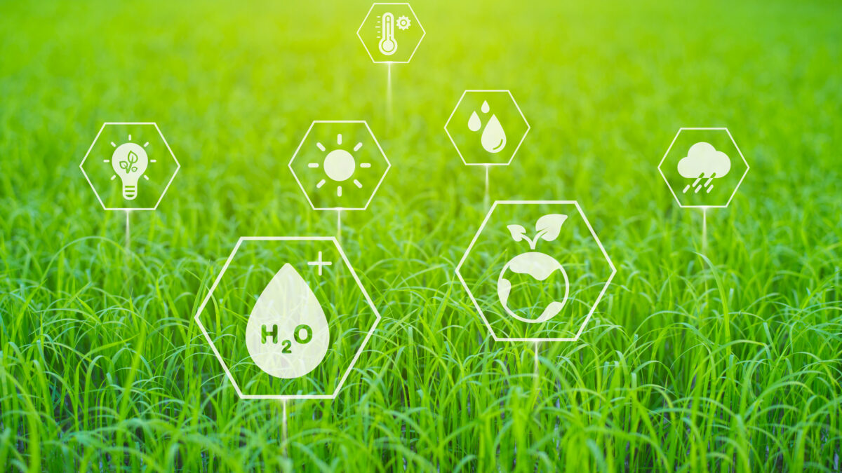 Environment Innover Innovation serving the environment - Reverse Agriculture
